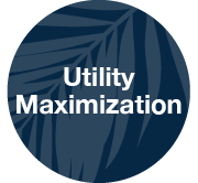Utility Maximization.png